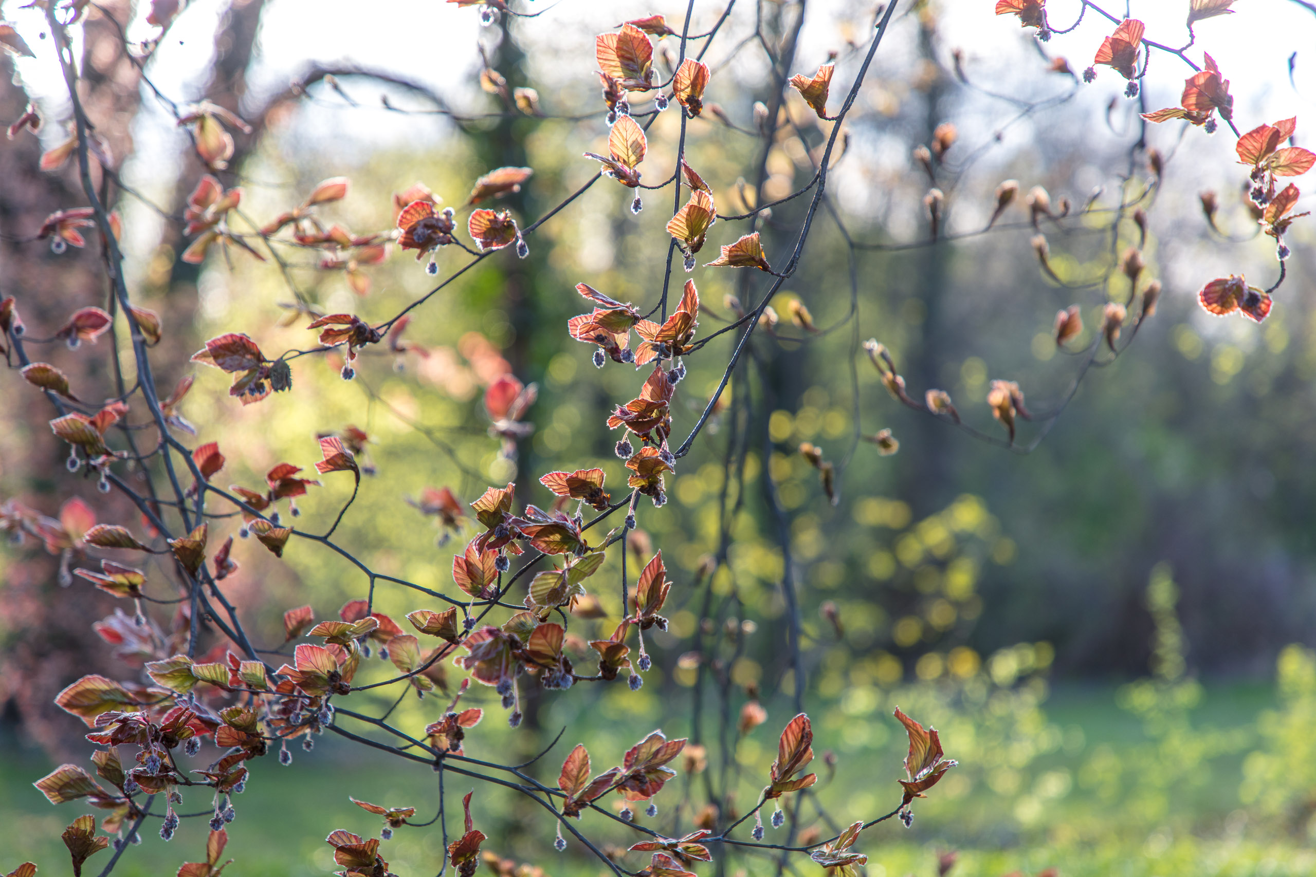 20180414190612 DP014962